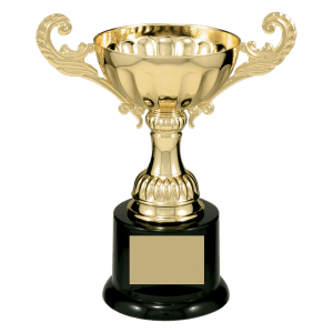 Completed Metal Cup Trophy On Plastic Base