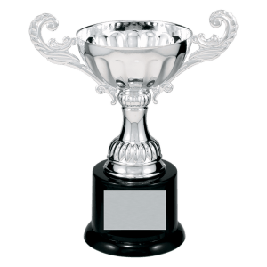 Completed Metal Cup Trophy On Plastic Base