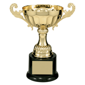 Completed Metal Cup Trophy On Plastic Base