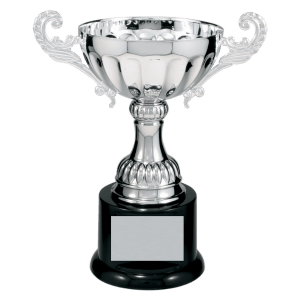 Completed Metal Cup Trophy On Plastic Base