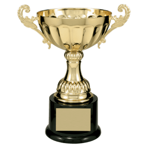 Completed Metal Cup Trophy On Plastic Base