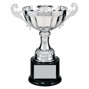Completed Metal Cup Trophy On Plastic Base