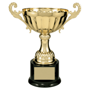 Completed Metal Cup Trophy On Plastic Base