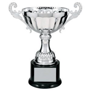 Completed Metal Cup Trophy On Plastic Base