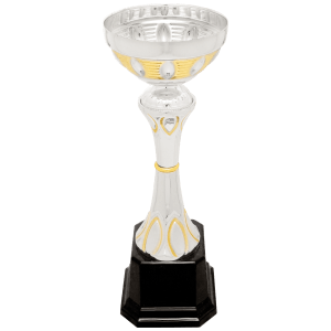 Completed Metal Cup Trophy On Plastic Base