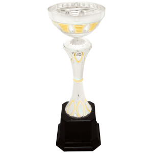 Completed Metal Cup Trophy On Plastic Base