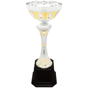 Completed Metal Cup Trophy On Plastic Base