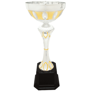 Completed Metal Cup Trophy On Plastic Base