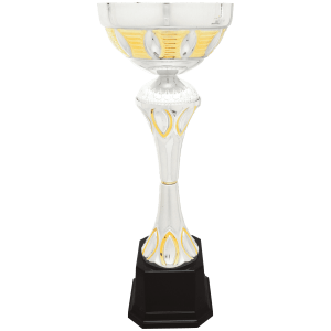 Completed Metal Cup Trophy On Plastic Base