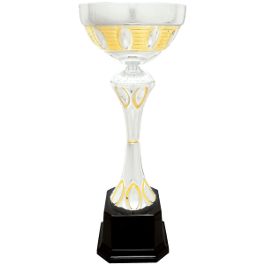 Completed Metal Cup Trophy On Plastic Base