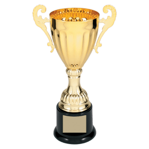 Completed Metal Cup Trophy On Plastic Base