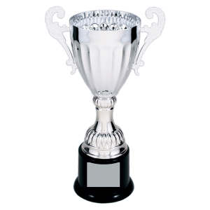 Completed Metal Cup Trophy On Plastic Base