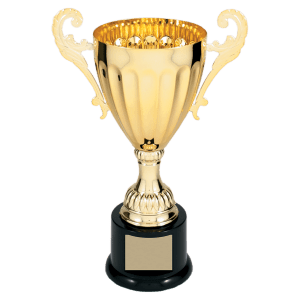 Completed Metal Cup Trophy On Plastic Base