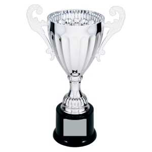 Completed Metal Cup Trophy On Plastic Base