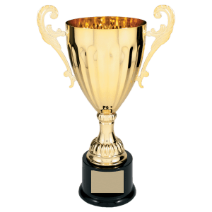 Completed Metal Cup Trophy On Plastic Base
