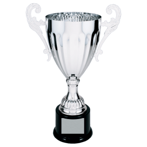 Completed Metal Cup Trophy On Plastic Base
