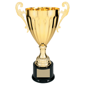 Completed Metal Cup Trophy On Plastic Base