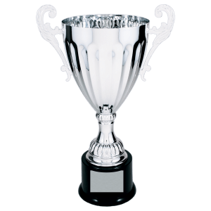 Completed Metal Cup Trophy On Plastic Base