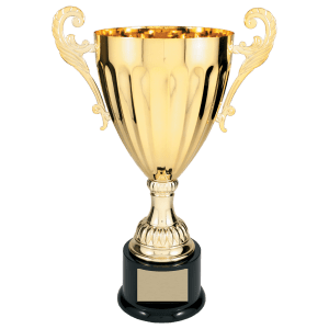 Completed Metal Cup Trophy On Plastic Base