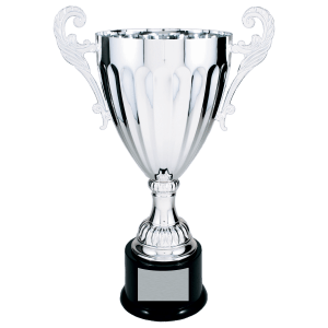 Completed Metal Cup Trophy On Plastic Base