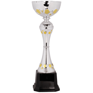Completed Metal Cup Trophy On Plastic Base