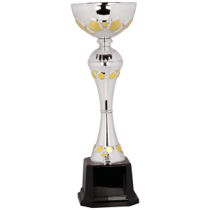 Completed Metal Cup Trophy On Plastic Base