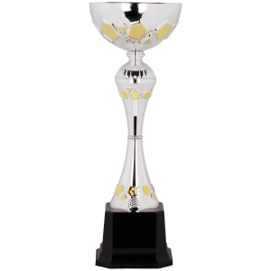 Completed Metal Cup Trophy On Plastic Base