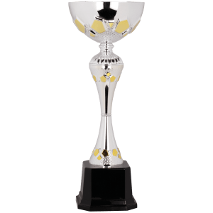 Completed Metal Cup Trophy On Plastic Base