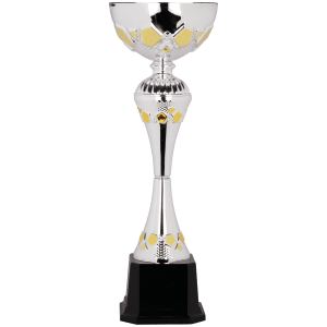 Completed Metal Cup Trophy On Plastic Base