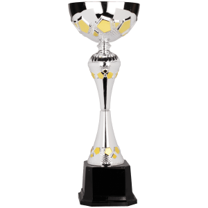 Completed Metal Cup Trophy On Plastic Base