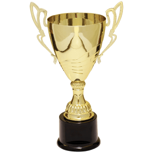 Completed Metal Cup Trophy On Plastic Base