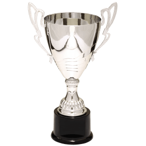 Completed Metal Cup Trophy On Plastic Base