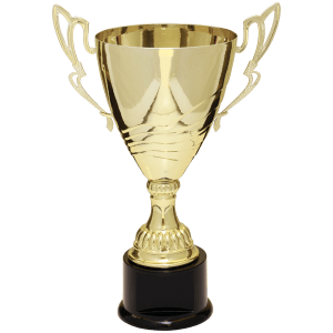 Completed Metal Cup Trophy On Plastic Base