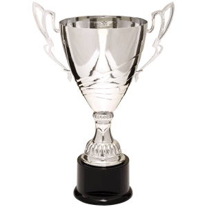 Completed Metal Cup Trophy On Plastic Base