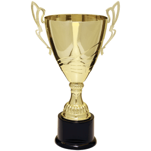 Completed Metal Cup Trophy On Plastic Base
