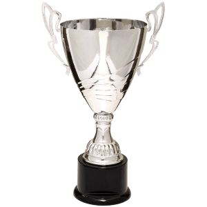 Completed Metal Cup Trophy On Plastic Base