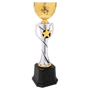 Completed Metal Cup Trophy