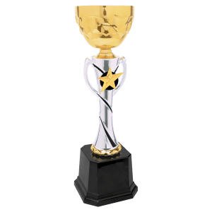 Completed Metal Cup Trophy