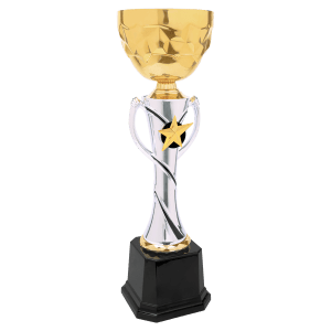 Completed Metal Cup Trophy