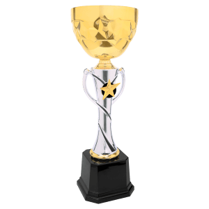 Completed Metal Cup Trophy