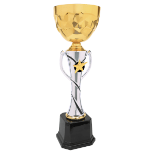 Completed Metal Cup Trophy