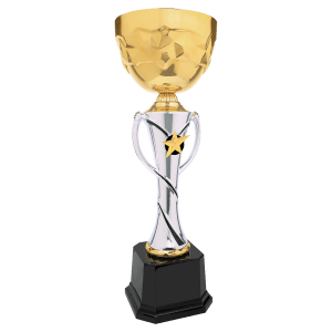 Completed Metal Cup Trophy