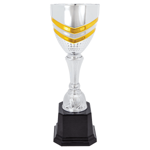 Completed Metal Cup Trophy On Plastic