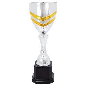 Completed Metal Cup Trophy On Plastic