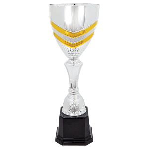 Completed Metal Cup Trophy On Plastic