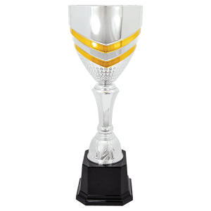 Completed Metal Cup Trophy On Plastic
