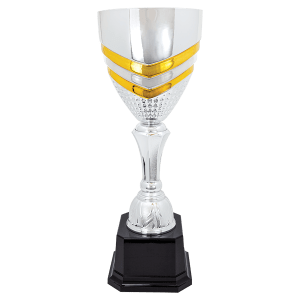 Completed Metal Cup Trophy On Plastic