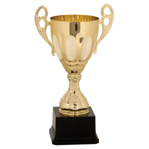 Completed Metal Cup Trophy On Plastic Base