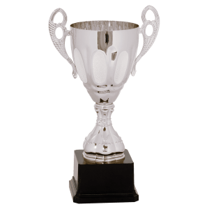 Completed Metal Cup Trophy On Plastic Base