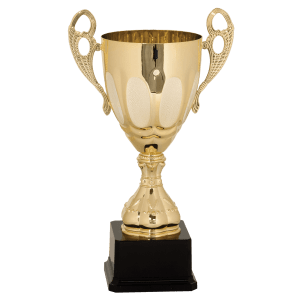 Completed Metal Cup Trophy On Plastic Base
